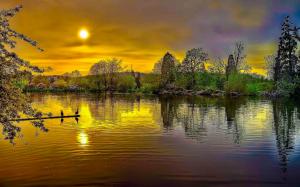Amazing Pond Of Golden Reflections wallpaper thumb