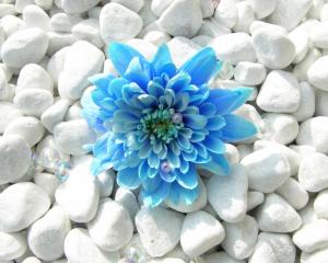 Blue Flower wallpaper thumb