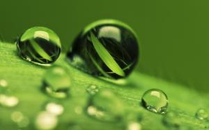 Water Drops Macro Green HD wallpaper thumb