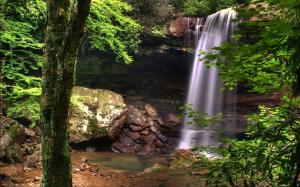 Waterfall Forest Trees Rocks Stones HD wallpaper thumb