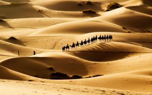 Hot desert, sand dunes, the caravan wallpaper thumb