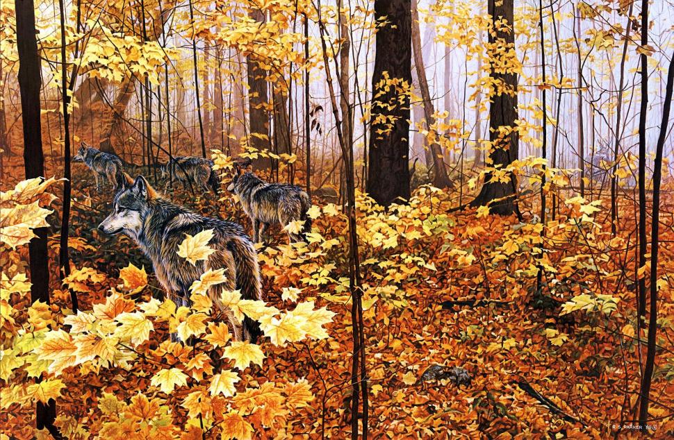 Wolfpack at Autumn wallpaper,artwork HD wallpaper,forest HD wallpaper,trees HD wallpaper,predators HD wallpaper,nature HD wallpaper,leaves HD wallpaper,wilderness HD wallpaper,2330x1525 wallpaper