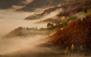 Mist, Nature, Sunrise, Landscape, Morning, Fall, Mountain, Forest, Cottage, Trees wallpaper thumb