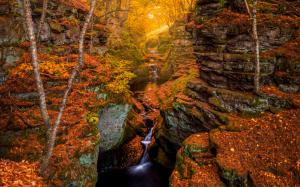 Autumn Forest Rocks Stones Stream Waterfall Timelapse Sunlight Trees HD wallpaper thumb