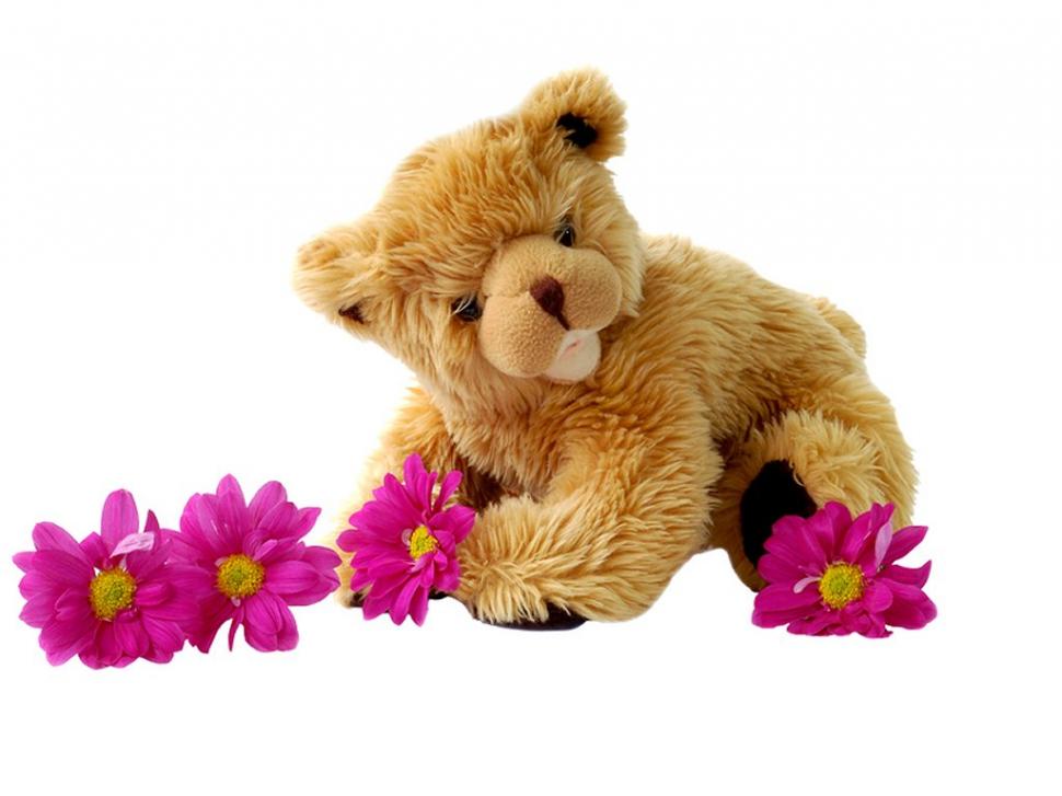 Cute Teddy Bear, Lovely, Hairy, Flower wallpaper,cute teddy bear wallpaper,lovely wallpaper,hairy wallpaper,flower wallpaper,1024x768 wallpaper