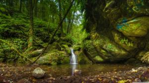 Small Waterfall in the Forest wallpaper thumb