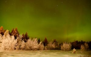 Aurora Borealis Northern Lights Night Green Stars Trees Snow Winter HD wallpaper thumb