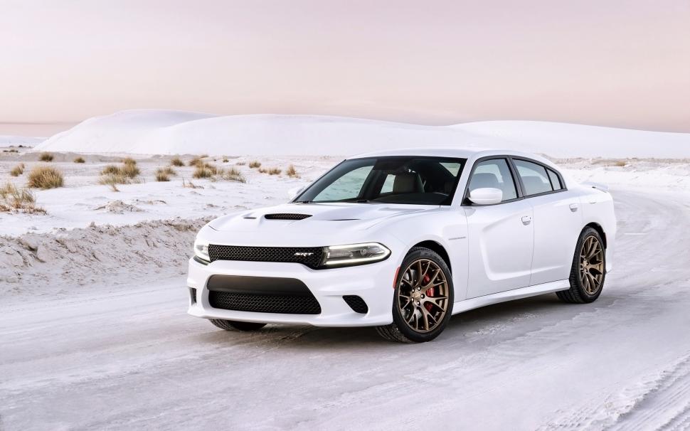 2015 Dodge Charger SRT Hellcat 4Related Car Wallpapers wallpaper,dodge HD wallpaper,charger HD wallpaper,2015 HD wallpaper,hellcat HD wallpaper,2560x1600 wallpaper