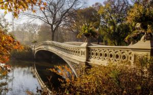 Park, bridge, trees, autumn wallpaper thumb