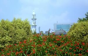 Flowers Mosque wallpaper thumb