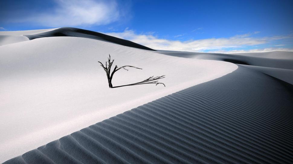 The Lonesome Dune wallpaper,lonely HD wallpaper,dune HD wallpaper,sand HD wallpaper,nature HD wallpaper,dessert HD wallpaper,3d & abstract HD wallpaper,2560x1440 wallpaper