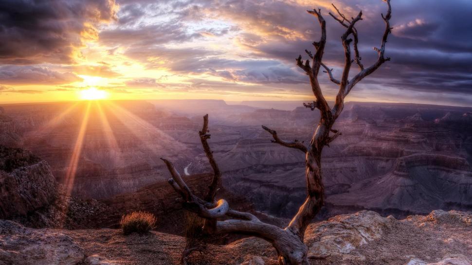 Amazing Sunrise Over Canyon Hdr wallpaper,dead tree HD wallpaper,canyon HD wallpaper,sunrise HD wallpaper,clouds HD wallpaper,nature & landscapes HD wallpaper,1920x1080 wallpaper