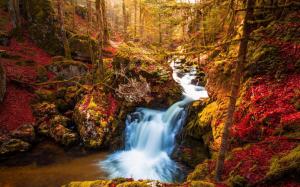 Waterfall, trees, autumn wallpaper thumb
