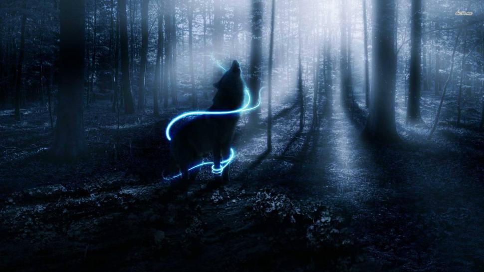 Howling In The Woods wallpaper,wolf HD wallpaper,abstract HD wallpaper,animals HD wallpaper,fantasy HD wallpaper,woods HD wallpaper,3d & abstract HD wallpaper,1920x1080 wallpaper