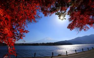 Japan, Mount Fuji, road, river, twigs, red leaves, sun wallpaper thumb