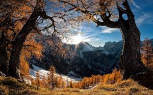 Landscape, Nature, Mountain, Sunrise, Forest, Snowy Peak, Winter wallpaper thumb