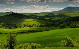 Italy, Tuscany, green fields, trees, clouds, dusk wallpaper thumb