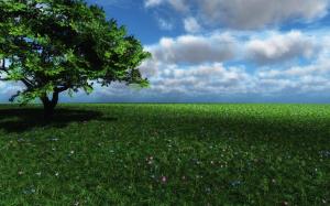 Manipulation Cg Digital Art Nature Fields Flowers Spring Seasons Trees Sky Clouds Color Images wallpaper thumb