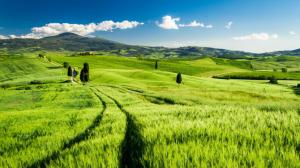 Tuscany, Italy, green fields, spring wallpaper thumb