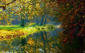 Autumn, river, trees, nature scenery, sunlight wallpaper thumb