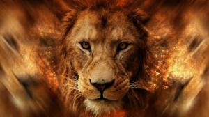Lion, Face, Animals, Africa wallpaper thumb