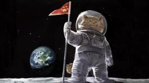 Cartoons Cat Astronaut On The Moon wallpaper thumb