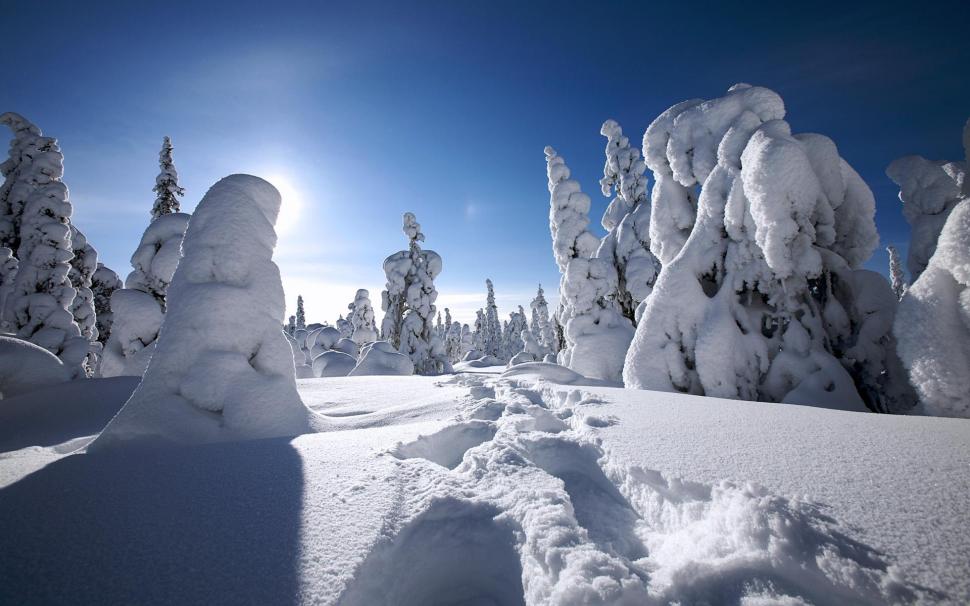 Winter in Finland wallpaper,winter HD wallpaper,finland HD wallpaper,nature & landscape HD wallpaper,1920x1200 wallpaper