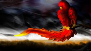 Red Parrots Paint Cool 1080p wallpaper thumb