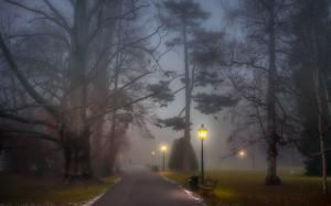 Park, foggy, path, lamp posts, benches, trees, night wallpaper thumb