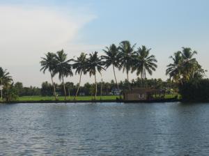 From GOD'S OWN COUNTRY,KERALA wallpaper thumb
