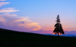 Evening sunset, mountain and tree silhouette wallpaper thumb