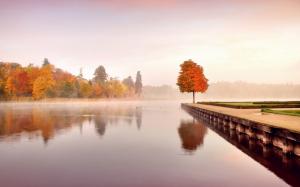 Autumn nature landscape, trees, orange, water, morning, mist wallpaper thumb