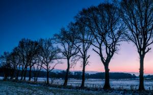 Norway winter scenery, trees, fields, frost, morning dawn wallpaper thumb