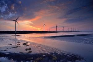 Windmills, propeller blade, twilight, water, shallow, algae wallpaper thumb