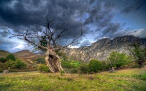 Trees, grass, stone mountains, clouds, dusk wallpaper thumb