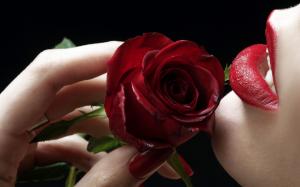 Red Rose & Red Lips HD wallpaper thumb