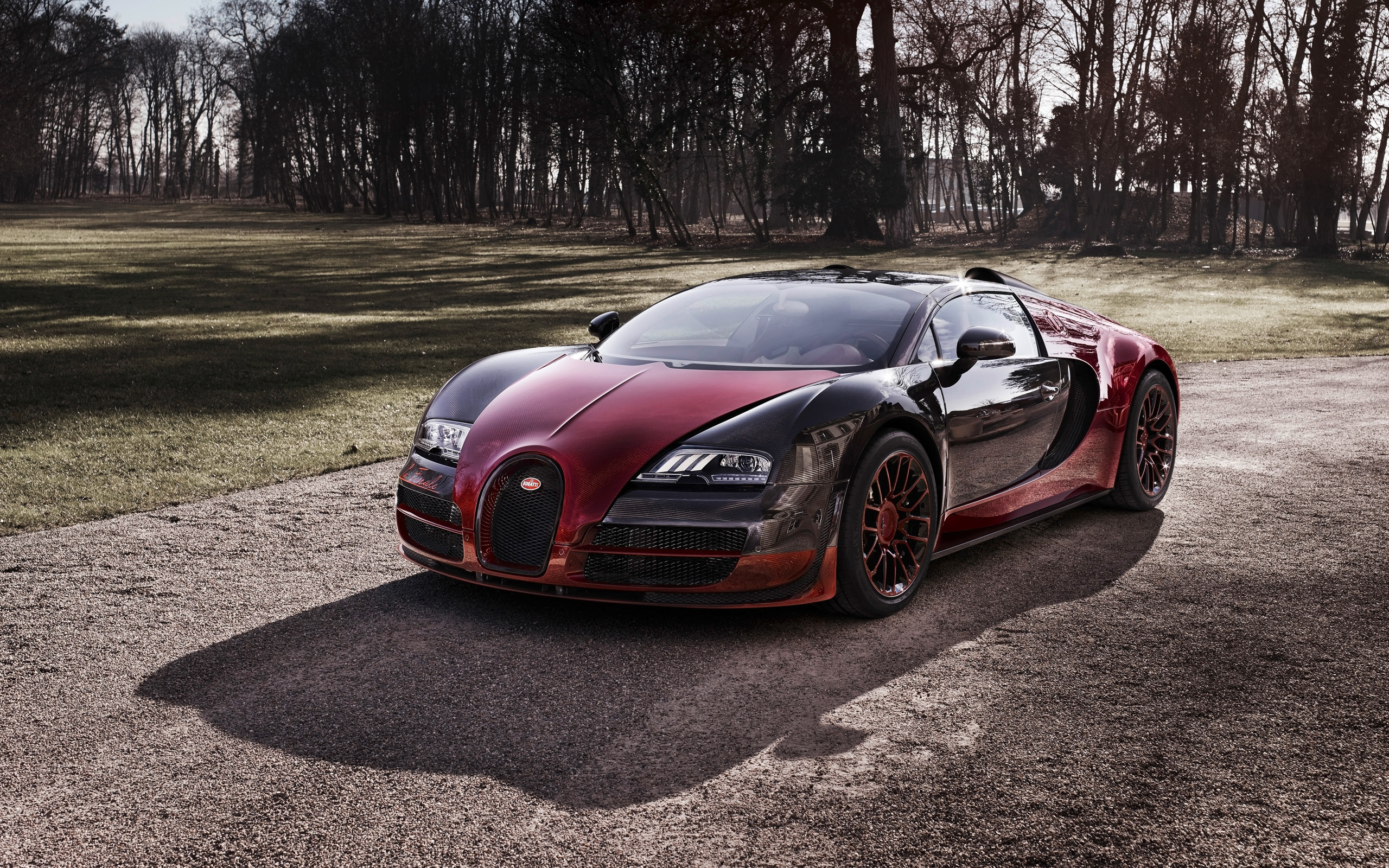 20+ Bugatti Veyron Wallpaper Widescreen Hd For Pc HD download