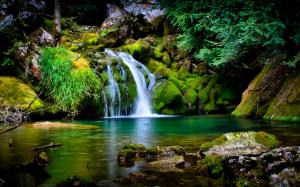 Waterfall Moss Pond Forest Timelapse HD wallpaper thumb