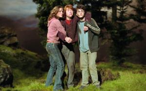 Emma Watson with other crew in Harry Potter wallpaper thumb