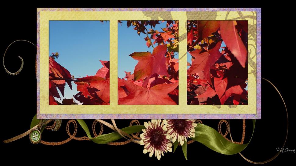 Autumn Framed wallpaper,frame HD wallpaper,firefox persona HD wallpaper,fall HD wallpaper,sunflowers HD wallpaper,leaves HD wallpaper,autumn HD wallpaper,3d & abstract HD wallpaper,1920x1080 wallpaper
