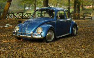 car, park, leaves, autumn, classic, oldtimer, beetle, volkswagen wallpaper thumb