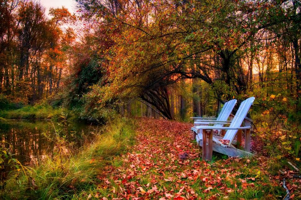 Colorful park in forest wallpaper,nature HD wallpaper,sky HD wallpaper,clouds HD wallpaper,river HD wallpaper,water HD wallpaper,forest HD wallpaper,park HD wallpaper,trees HD wallpaper,leaves HD wallpaper,colorful HD wallpaper,Autumn HD wallpaper,fall HD wallpaper,colors HD wallpaper,walk HD wallpaper,2048x1363 wallpaper