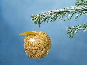 christmas, new year, apple, branch, ornament, fur-tree, snow, gold wallpaper thumb