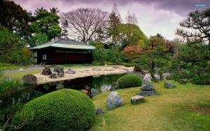 The Seiryuen Garden Of Nijo Castle wallpaper thumb