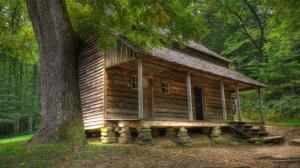Deserted wooden cabin in the woods wallpaper thumb