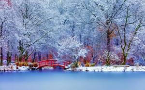 Winter park, snow, trees, bridge wallpaper thumb