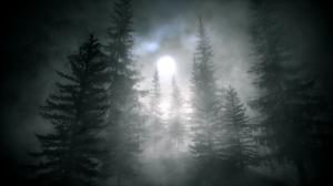 Alan Wake Moonlight Mist Fog Trees HD wallpaper thumb