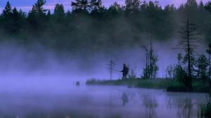 Fishing At Dawn In Sweden wallpaper thumb