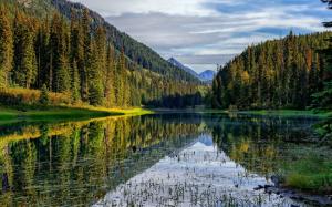 Mountains, forest, lake, reflection wallpaper thumb