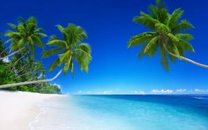 Beach, coast, sea, blue, green palm, scenery wallpaper thumb
